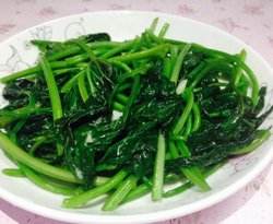 什么样的紫薯苗好培育紫薯苗有什么讲究