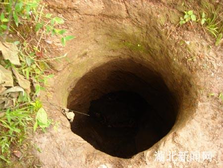 下雪前紫薯地窖要做那些措施怎样保护紫薯